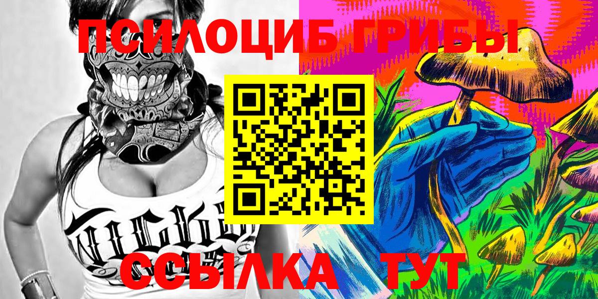 Галлюциногенные грибы мицелий  магазин продажи наркотиков  Тамбов  Вход с VPN 