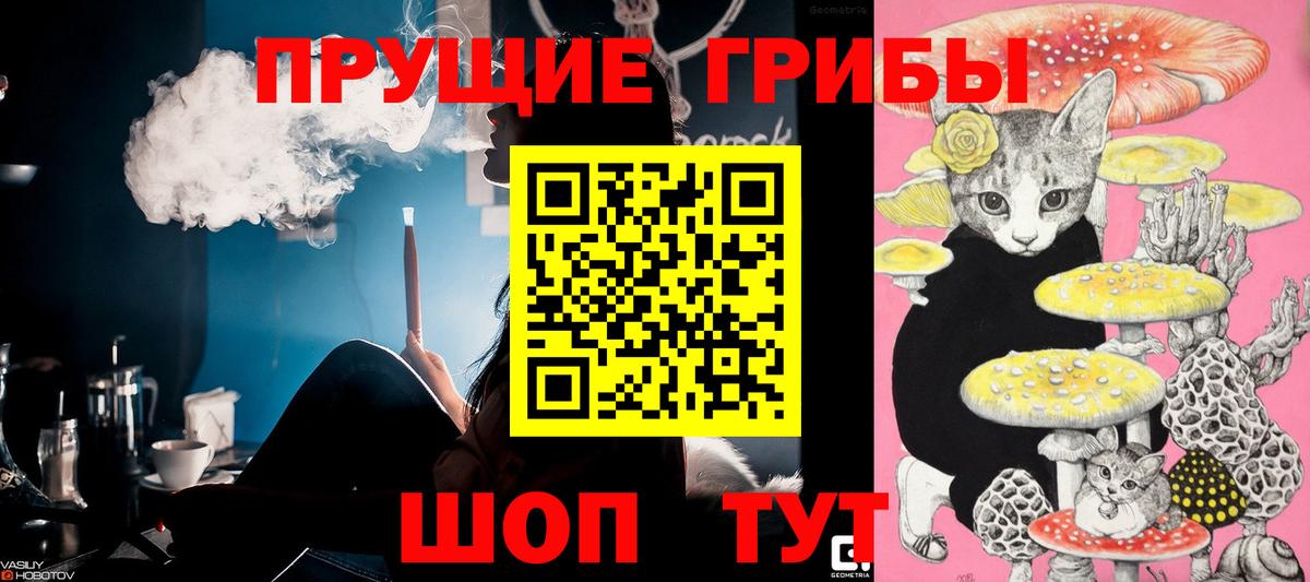Галлюциногенные грибы Cubensis Тамбов